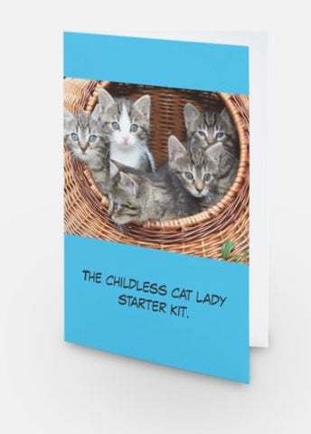 The childless cat lady The childless cat lady