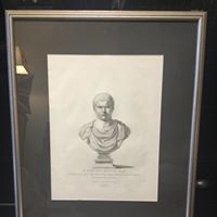 3rd Male Bust Print 18th Century