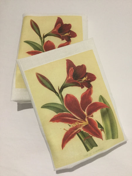 Flour Sack Tea Towel - Set of 2 -  Red Amarillo