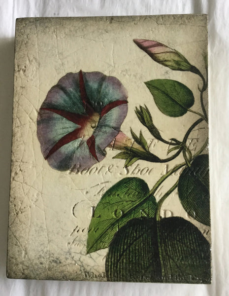 Sid Dickens Memory Block T-439 Morning Glory