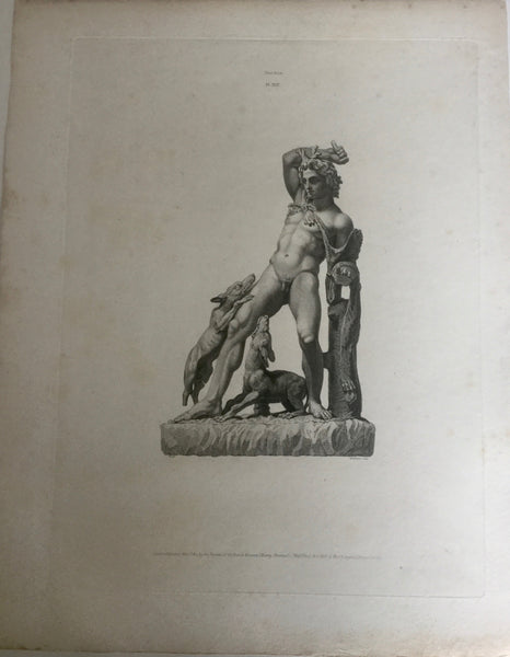 Male Statue 1800s Engraving - Statue with Dogs