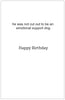 After hearing his owners story-- Birthday