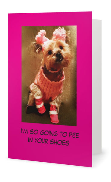 I'm so going to pee in your shoes.-- Birthday