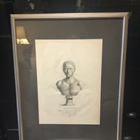 Male Bust Print 18th Century