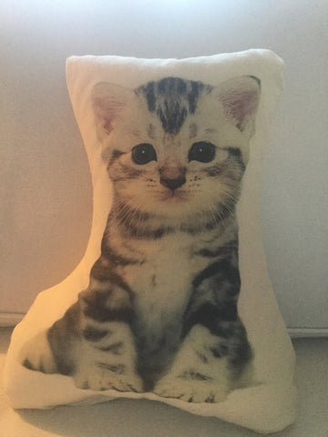 Grey Cat Stuffy Canvas Pillow