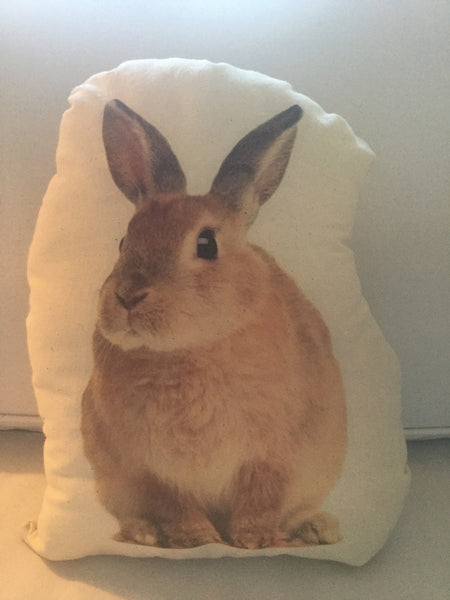 Rabbit Stuffy Canvas Pillow