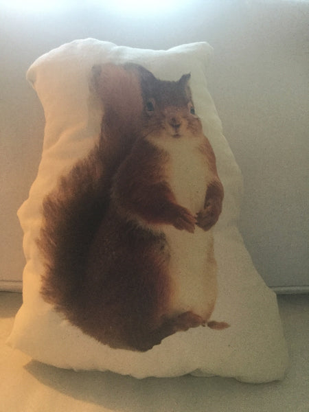Squirrel Stuffy Canvas Pillow