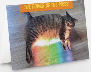 The Power of the Pussy - Birthday