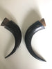 Pair of Stag horns with wooden cork
