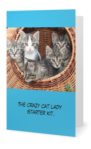 The crazy cat lady starter kit -- Birthday